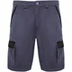 Hovedminiatyrbilde av Bly/Solid svart Roly WRK Tahoe Arbeidsshorts Shorts