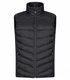 Hovedminiatyrbilde av Black Clique Idaho Vattert Vest