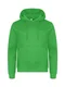 Hovedminiatyrbilde av Apple Green Clique Miami Hettegenser