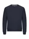 Hovedminiatyrbilde av Dark Navy Clique Miami Pro Collegegenser