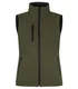 Hovedminiatyrbilde av Fog Green Clique Vattert Softshellvest Dame