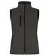 Hovedminiatyrbilde av Dark Grey Clique Vattert Softshellvest Dame