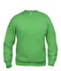 Hovedminiatyrbilde av Apple Green Clique Basic Collegegenser