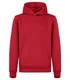 Hovedminiatyrbilde av Red Clique Basic Active Hettegenser Barn