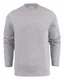 Hovedminiatyrbilde av Grey Melange Printer Softball RSX Collegegenser