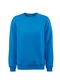Hovedminiatyrbilde av Blue Printer Softball RSX Collegegenser