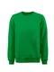 Hovedminiatyrbilde av Green Printer Softball RSX Collegegenser