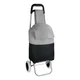 Hovedminiatyrbilde av Dark Grey Derby of Sweden Sky 27L Shoppingtralle med Glidelås