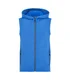 Hovedminiatyrbilde av Palace Blue Graphix Zamora Collegevest