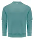 Hovedminiatyrbilde av Aloe Green J. Harvest Hopedale Collegegenser