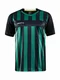 Hovedminiatyrbilde av Black/Team Green Craft Teamwear Progress 2.0 Stripe  T-skjorte