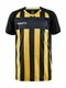 Hovedminiatyrbilde av Black/Sweden Blue Craft Teamwear Progress 2.0 Stripe  T-skjorte Barn