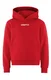 Hovedminiatyrbilde av Bright Red Craft Teamwear Community 2.0 Logo  Hettegenser Barn