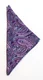 Hovedminiatyrbilde av Purple J. Harvest & Frost Paisley Lommetørkle