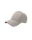 Hovedminiatyrbilde av Stone/Brown Atlantis Green House Baseball Caps