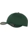 Hovedminiatyrbilde av Flaskegrønn Flexfit Wooly Combed Caps