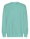 Hovedminiatyrbilde av Dusty Mint Neutral Tiger Cotton Oversized Collegegenser