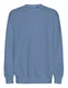 Hovedminiatyrbilde av Dusty Indigo Neutral Tiger Cotton Oversized Collegegenser
