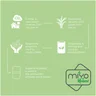 Miniatyrbilde 7 av Elfenbenshvit/Elfenbenshvit/Steingrå MIYO Renew Resirkulert Plast Tolags Matboks