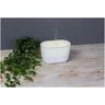 Miniatyrbilde 6 av Hvit Prixton Connected 4-i-1 Aroma Luftfukter