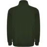 Miniatyrbilde 1 av Flaskegrønn Roly Aneto Half-Zip Genser