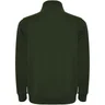 Miniatyrbilde 1 av Flaskegrønn Roly Aneto Half-Zip Genser