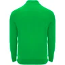 Miniatyrbilde 1 av Bregnegrønn Roly Epiro Half-Zip Teknisk Genser