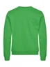 Miniatyrbilde 1 av Apple Green Clique Miami Collegegenser