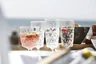Miniatyrbilde 9 av 2-15-5017784 Sagaform Akrylplast 4-pk Champagneglass