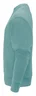Miniatyrbilde 2 av Aloe Green J. Harvest Hopedale Collegegenser