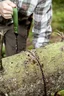 Miniatyrbilde 1 av Black Örrefors Hunting Kjedesag