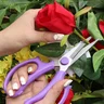 Miniatyrbilde 1 av 25-47-dra-4229 Prince Rustfritt Stål Blomstersaks