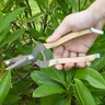 Miniatyrbilde 1 av 25-47-dra-4232 Egil Tre og Rustfritt Stål Blomstersaks