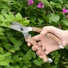 Miniatyrbilde 1 av 25-47-dra-4233 Leibnit Tre og Rustfritt Stål Beskjæringssaks