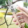 Miniatyrbilde 1 av 25-47-dra-4234 Niklaas Rustfritt Stål Hagesaks