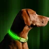 Miniatyrbilde 2 av 25-47-drb-5125 Olden Hundehalsbånd med LED-lys