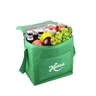 Miniatyrbilde 1 av 25-47-drb-5631-b Tyra Non-woven 8.L Kjølebag