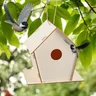 Miniatyrbilde 1 av 25-47-drb-5944 Gifhorn Poppeltre DIY Fuglehus