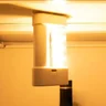 Miniatyrbilde 2 av 25-47-drb-6808 Gro 2-i-1 LED-lommelykt og Lanterne