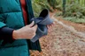 Miniatyrbilde 5 av Black/Dark Grey Atlantis Ghibli Resirkulert Nylon/Polyester Vendbar Bøttehatt