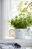 Miniatyrbilde 1 av Beige/Dark Blue (LX) Lexington Stoneware Mug Keramisk Kopp