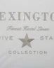 Miniatyrbilde 1 av White/Beige Lexington Hotel Brodert Putetrekk