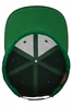 Miniatyrbilde 3 av Flaskegrønn Flexfit Classic Snapback Caps