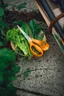 Miniatyrbilde 2 av Orange Fiskars Classic Universalsaks