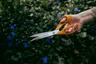 Miniatyrbilde 2 av Orange Fiskars Classic Universalsaks 25 cm