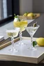 Miniatyrbilde 3 av Klar Lyngby Glas Melodia 26 cl Krystallglass 4 stk Champagneskåler