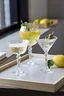 Miniatyrbilde 6 av Klar Lyngby Glas Melodia 21 cl 4 stk Cocktailglass