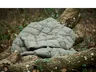 Miniatyrbilde 5 av Grønn Xplore It Outdoor Nylon Dunpledd