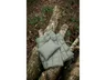 Miniatyrbilde 7 av Grønn Xplore It Outdoor Nylon Dunpledd