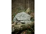 Miniatyrbilde 20 av Grønn Xplore It Outdoor Nylon Dunpledd